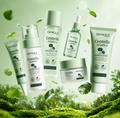 Kit Facial BIOAQUA Centella Asiática – 6 Pasos Reparador e Hidratante